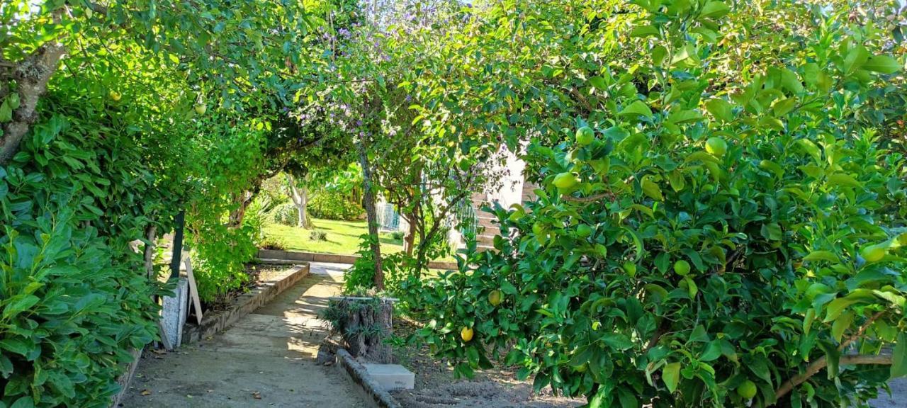 Вілла Casa Dos Avos Canas de Senhorim Екстер'єр фото